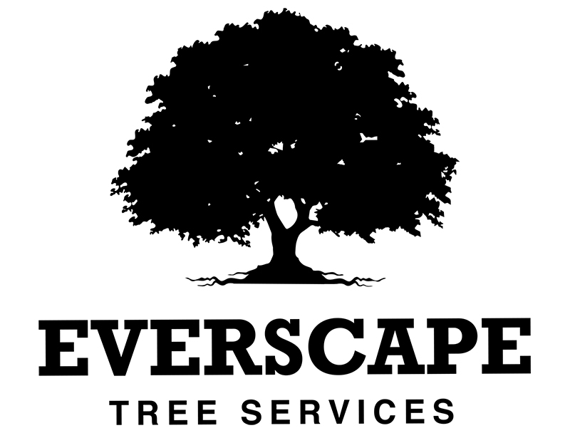 Everscape tree services logo