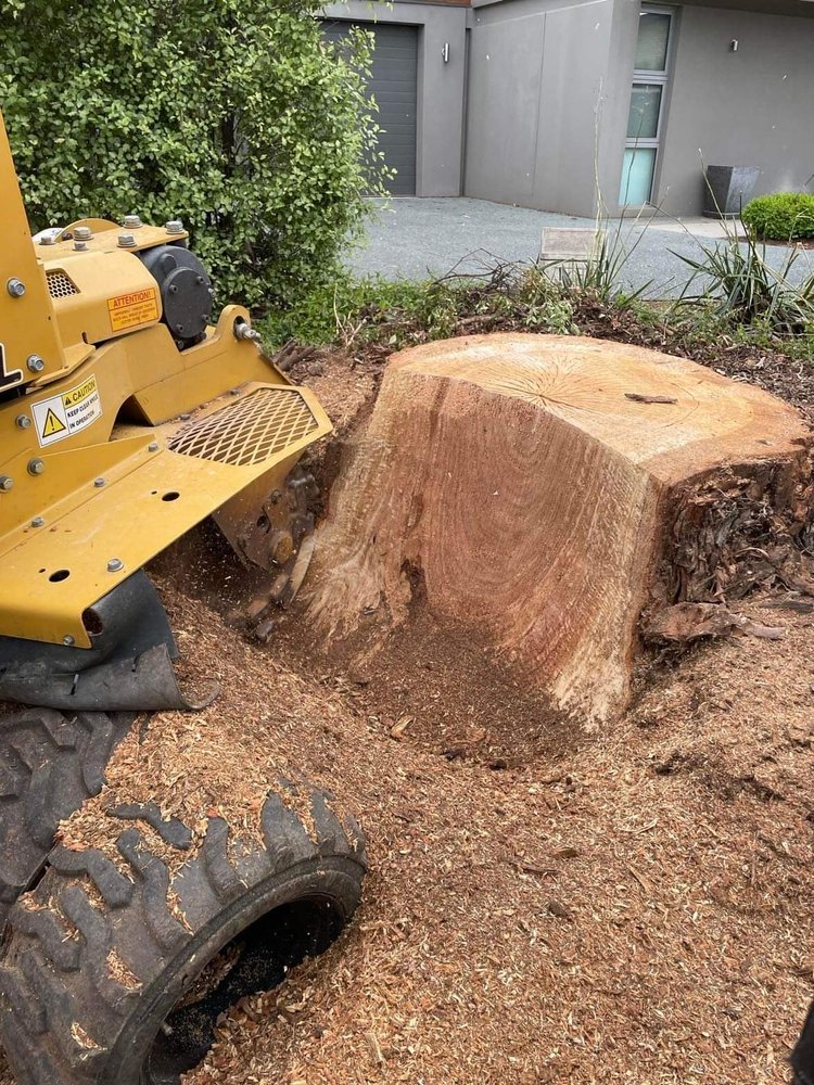 large stump removal