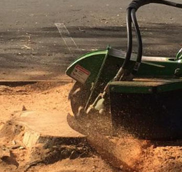 stumpgrinding stump